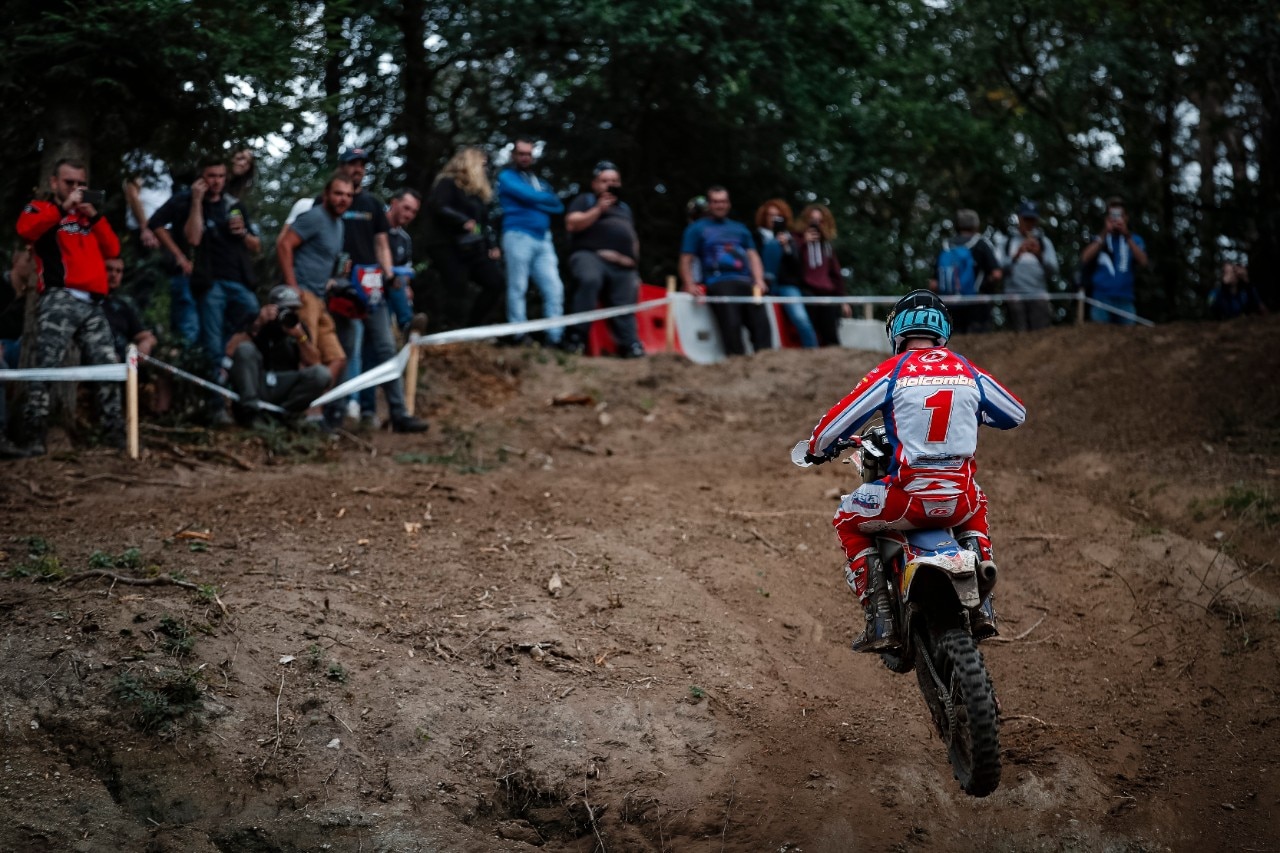 Steve Holcombe: ME LI BEVO TUTTI!